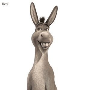 Meet your Posher, Stella